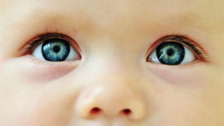 Ochi gri albastrui