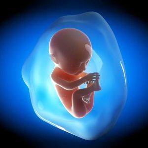 De Unde Provine Lichidul Amniotic